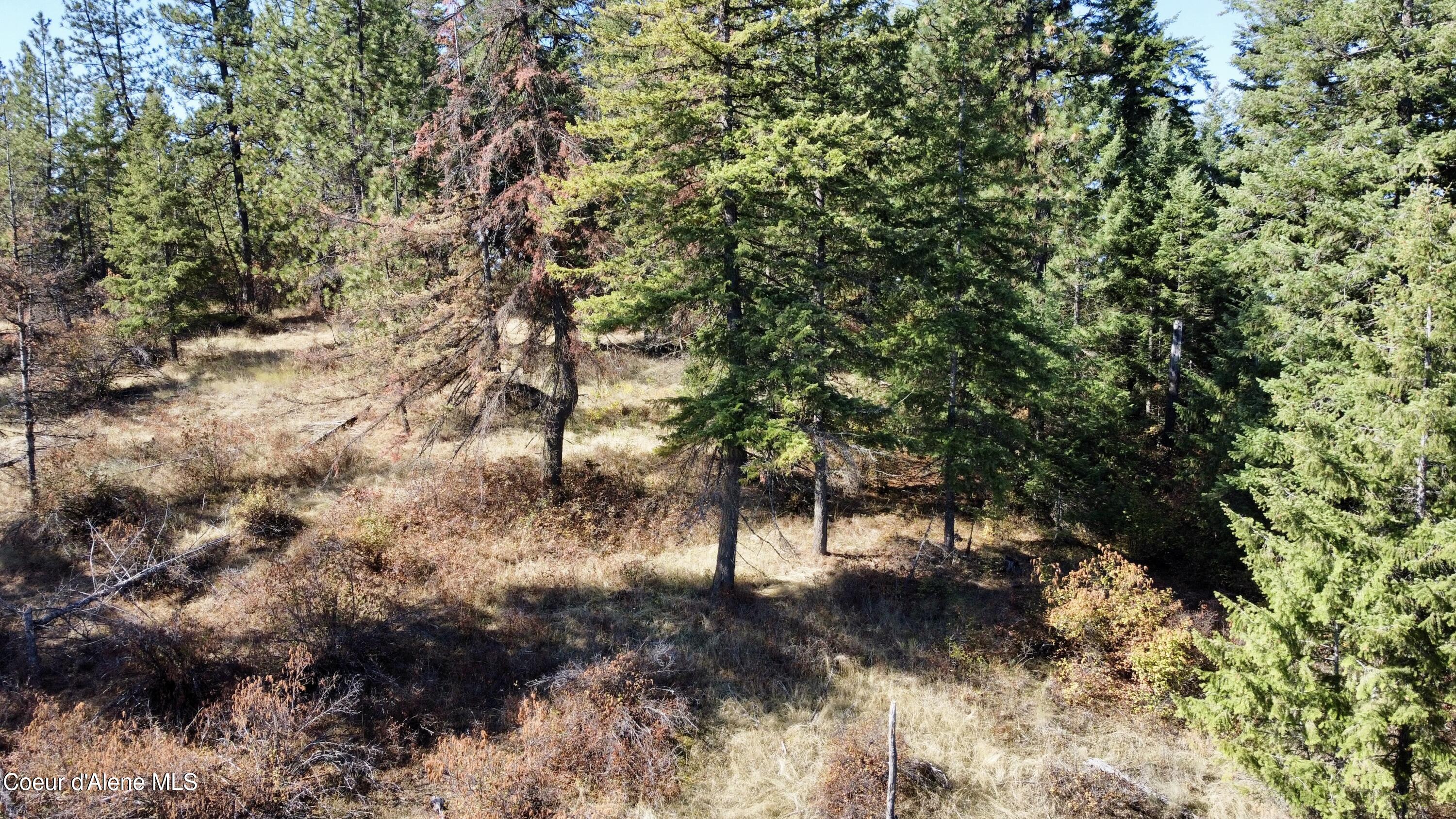 Nna Parcel South Cederbloom Road Coeur D'Alene, ID 83814 - Photo 13 of 23 13