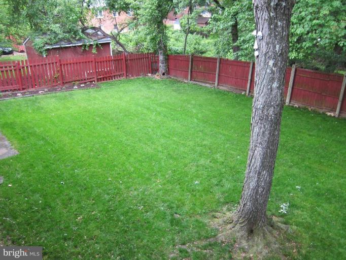 11521 Taber Street Silver Spring, MD 20902 - Photo 19 of 23 Back yard