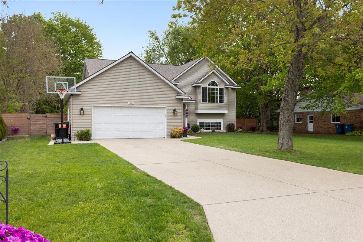 1802 Cedar Tree