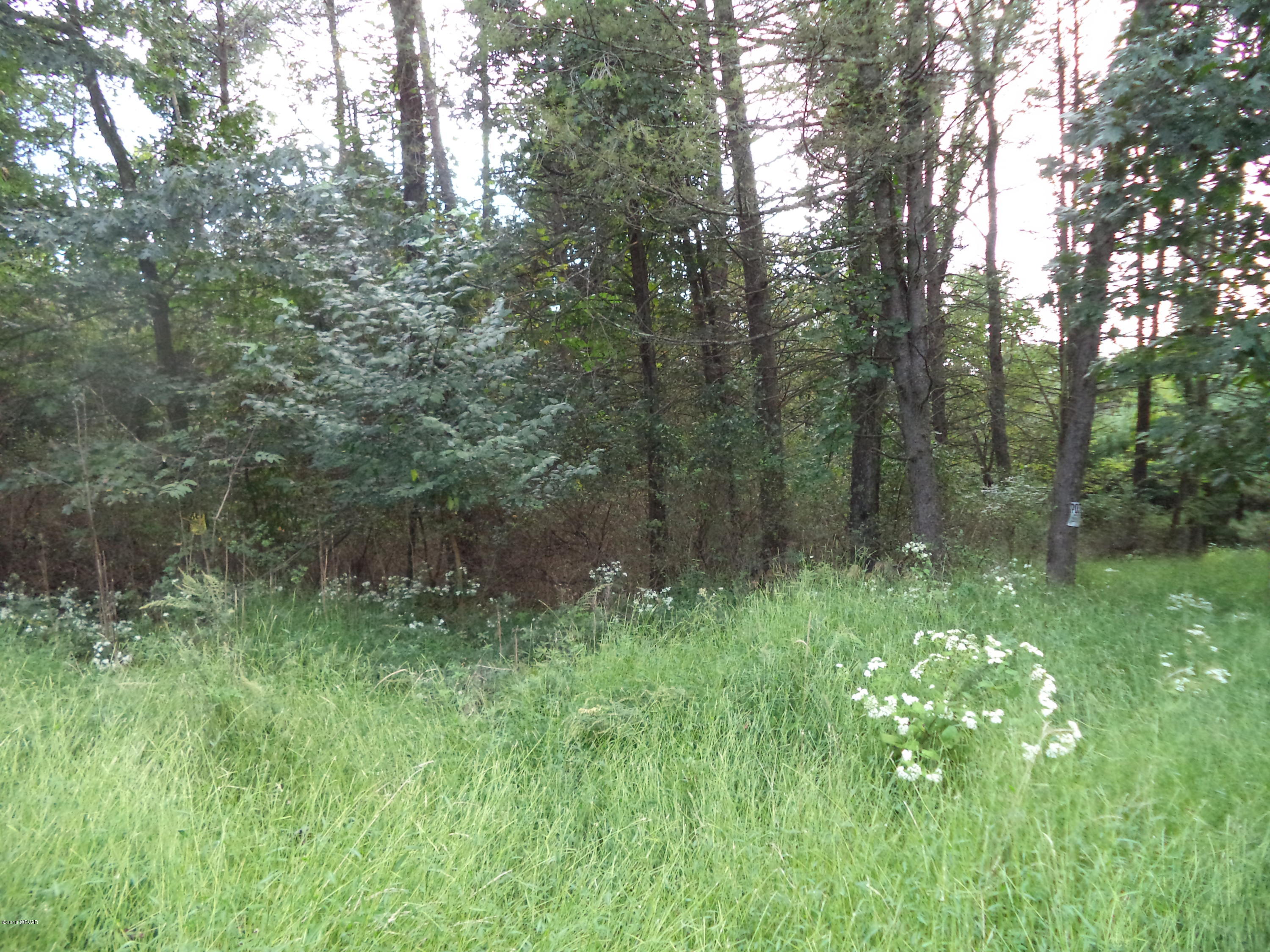 0 Quick Road Muncy, PA 17756 - Photo 3 of 6 DSC00648