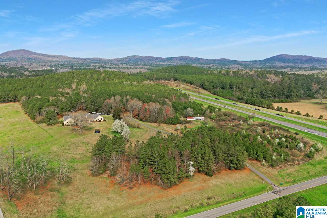 765 Eastaboga Road Talladega, AL 35160 - Photo 11 of 46