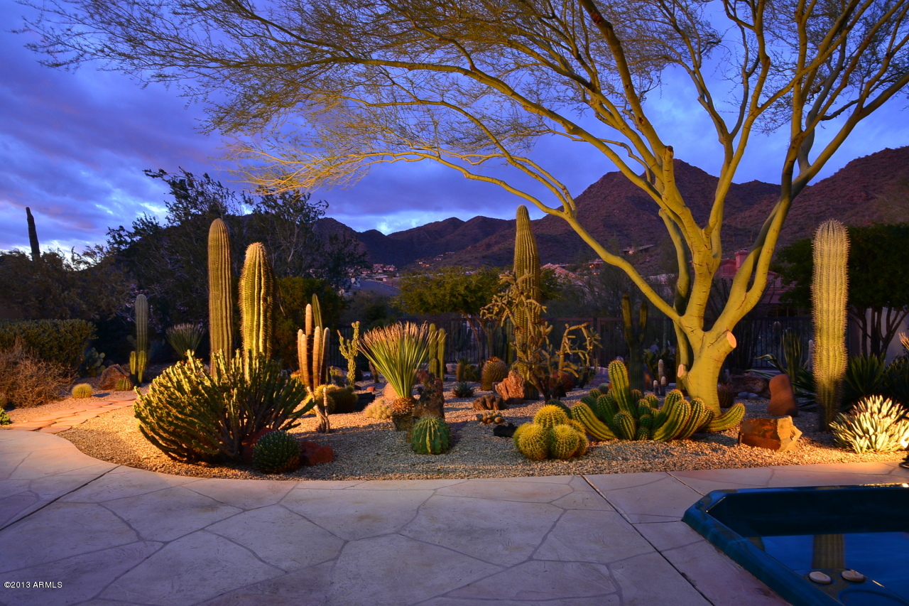 13804 East Geronimo Road Scottsdale, AZ 85259 - Photo 24 of 30 Night-Cactus Garden