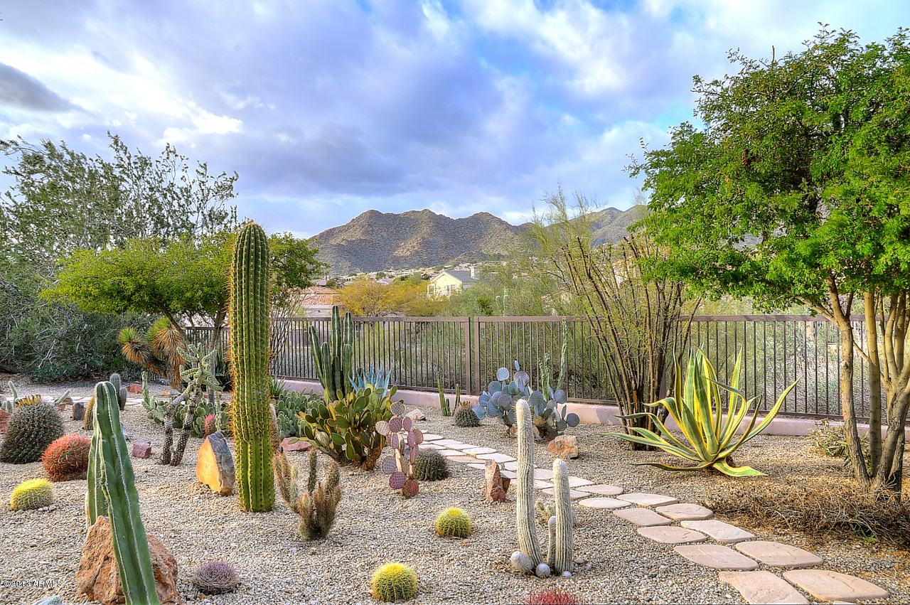13804 East Geronimo Road Scottsdale, AZ 85259 - Photo 27 of 30 Backyard View
