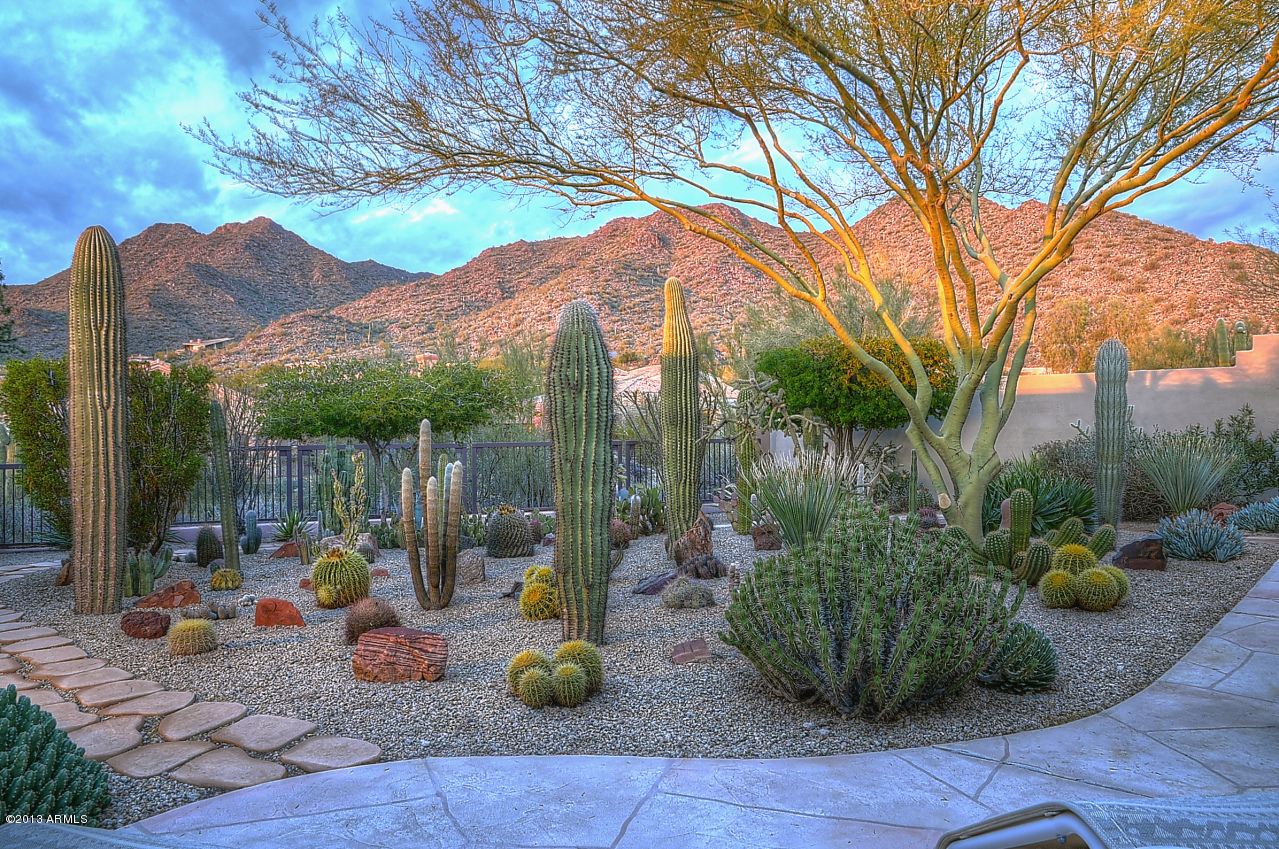 13804 East Geronimo Road Scottsdale, AZ 85259 - Photo 28 of 30 Mountain Views