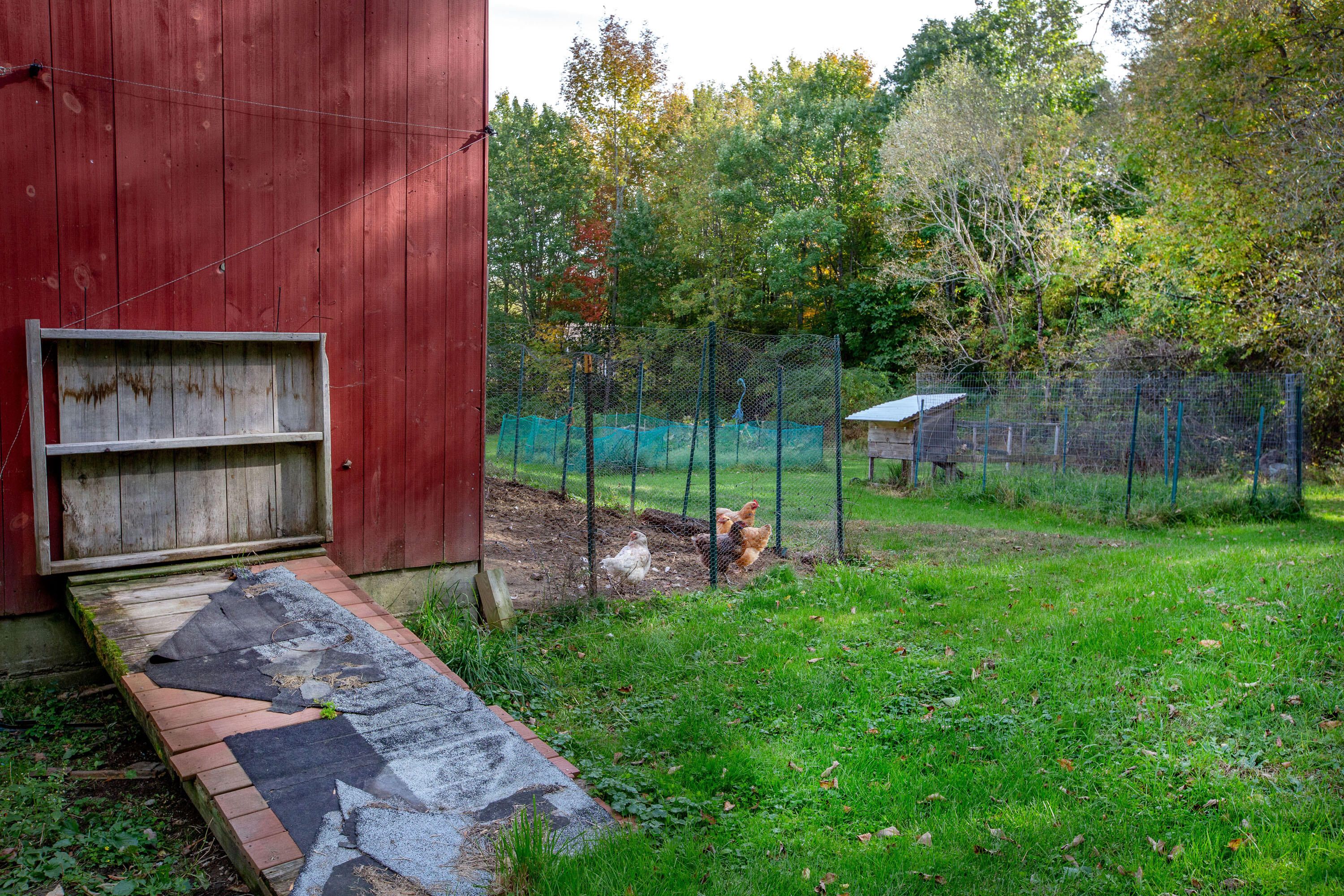 45 Fisher Road Bowdoinham, ME 04008 - Photo 70 of 83 chicken or goat ramp