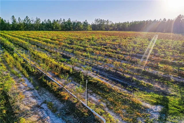 $974,999 | 2203 Highway 121, Bristol, GA 31518