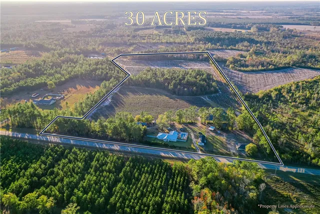 $974,999 | 2203 Highway 121, Bristol, GA 31518