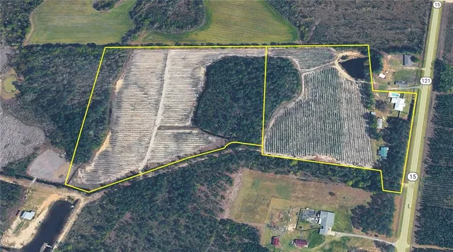 $974,999 | 2203 Highway 121, Bristol, GA 31518