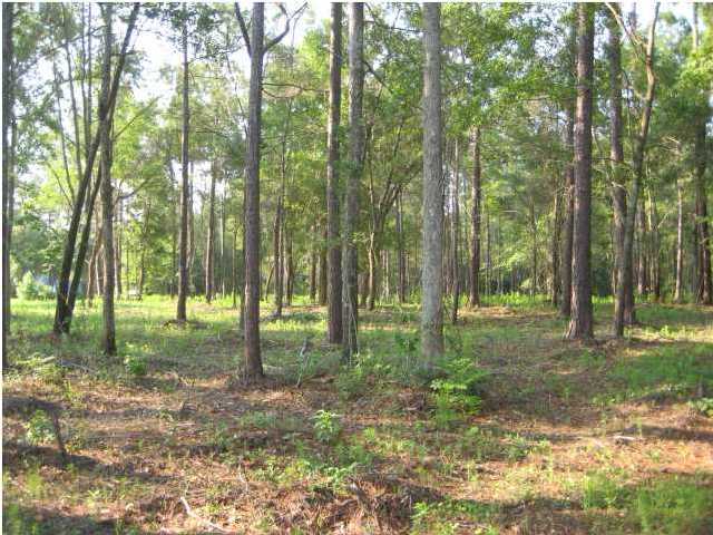 8603 Doar Road, Unit 1 Awendaw, SC 29429 - Photo 3 of 11 Additional Photo