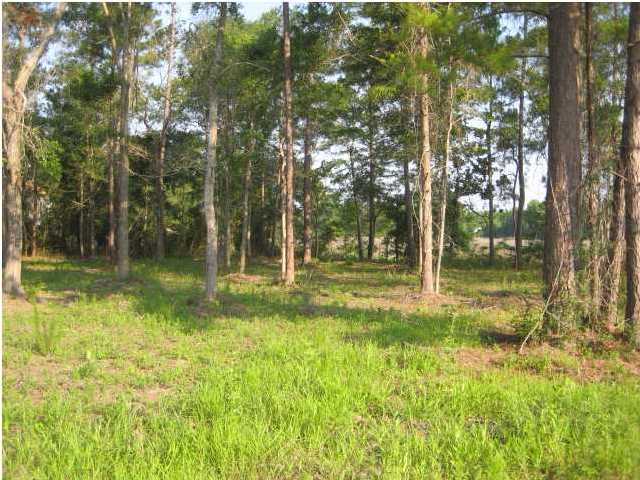 8603 Doar Road, Unit 1 Awendaw, SC 29429 - Photo 10 of 11 Additional Photo