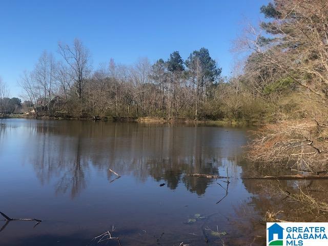 0 Shady Point Road, Unit 18 18 & 19 Locust Fork, AL 35097 - Photo 3 of 26
