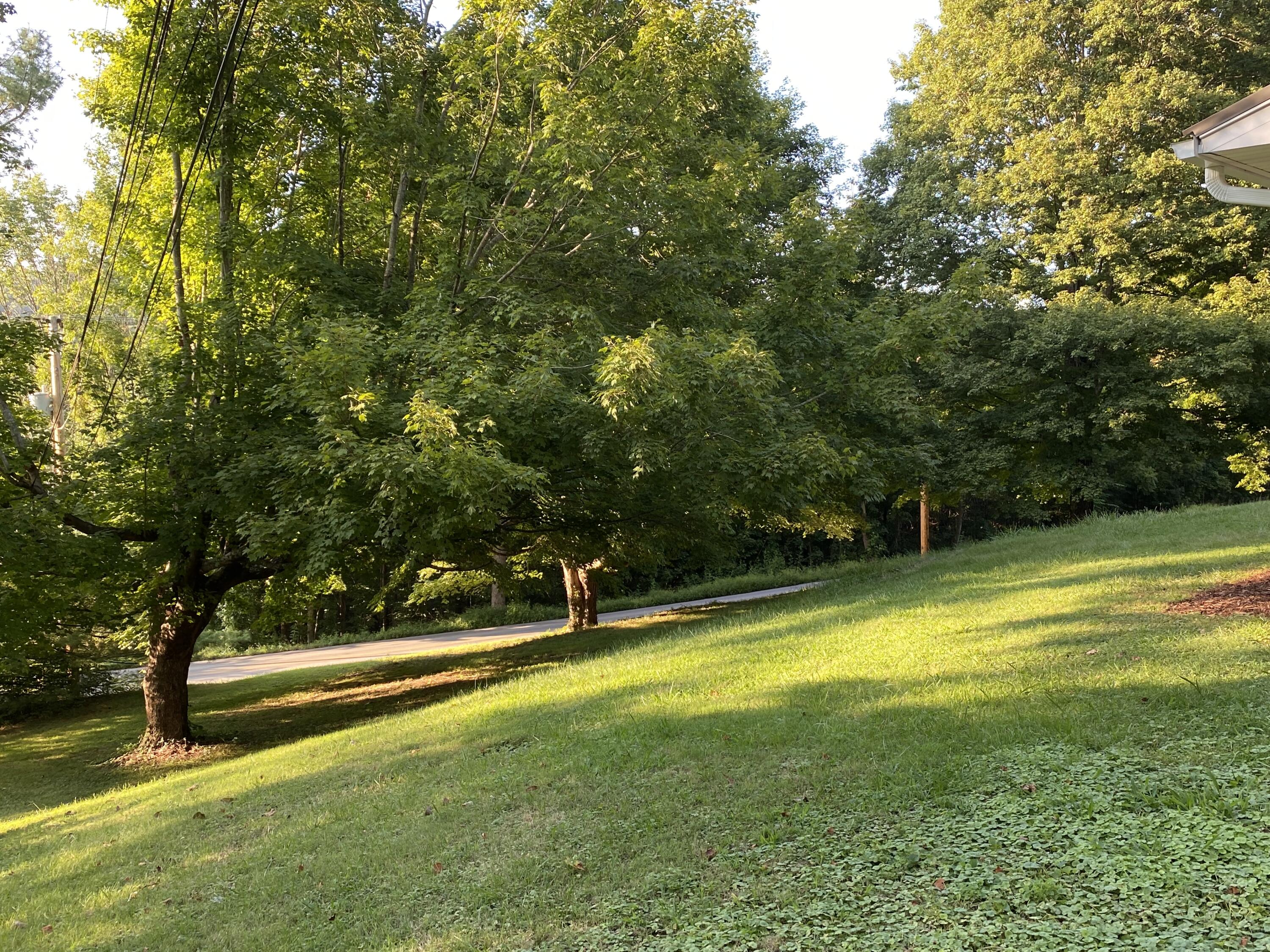 511 Cooks Valley Road Kingsport, TN 37664 - Photo 25 of 29 Front Yard