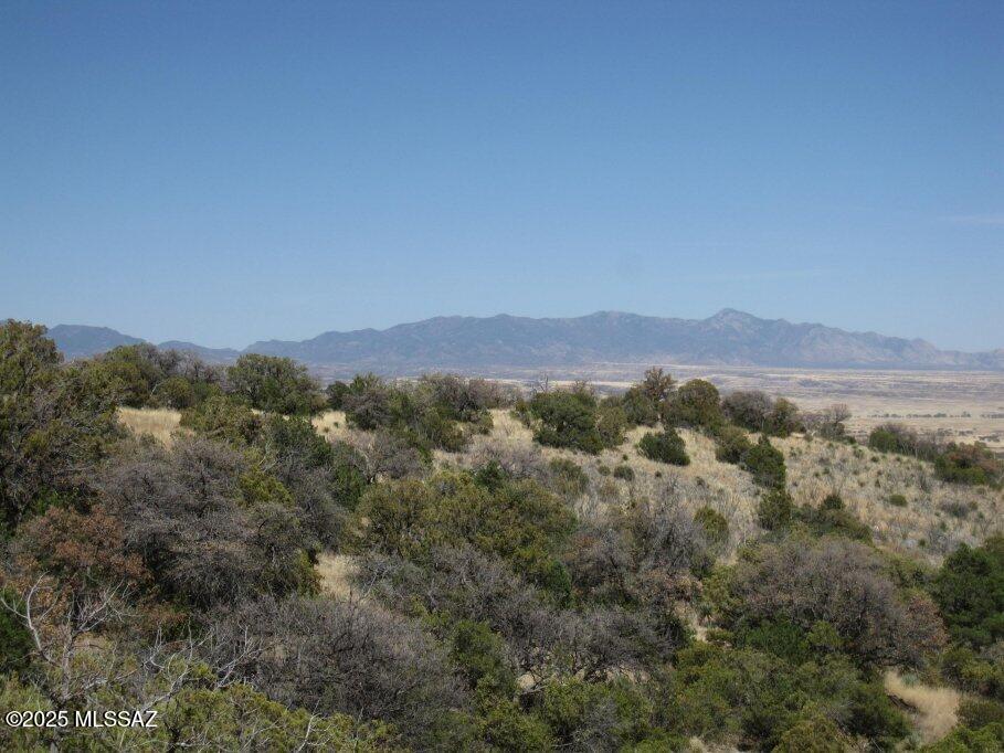 Tbd Tbd Keystone Road, Unit 17B Patagonia, AZ 85624 - Photo 3 of 6 a view of a mountain range with trees in the background