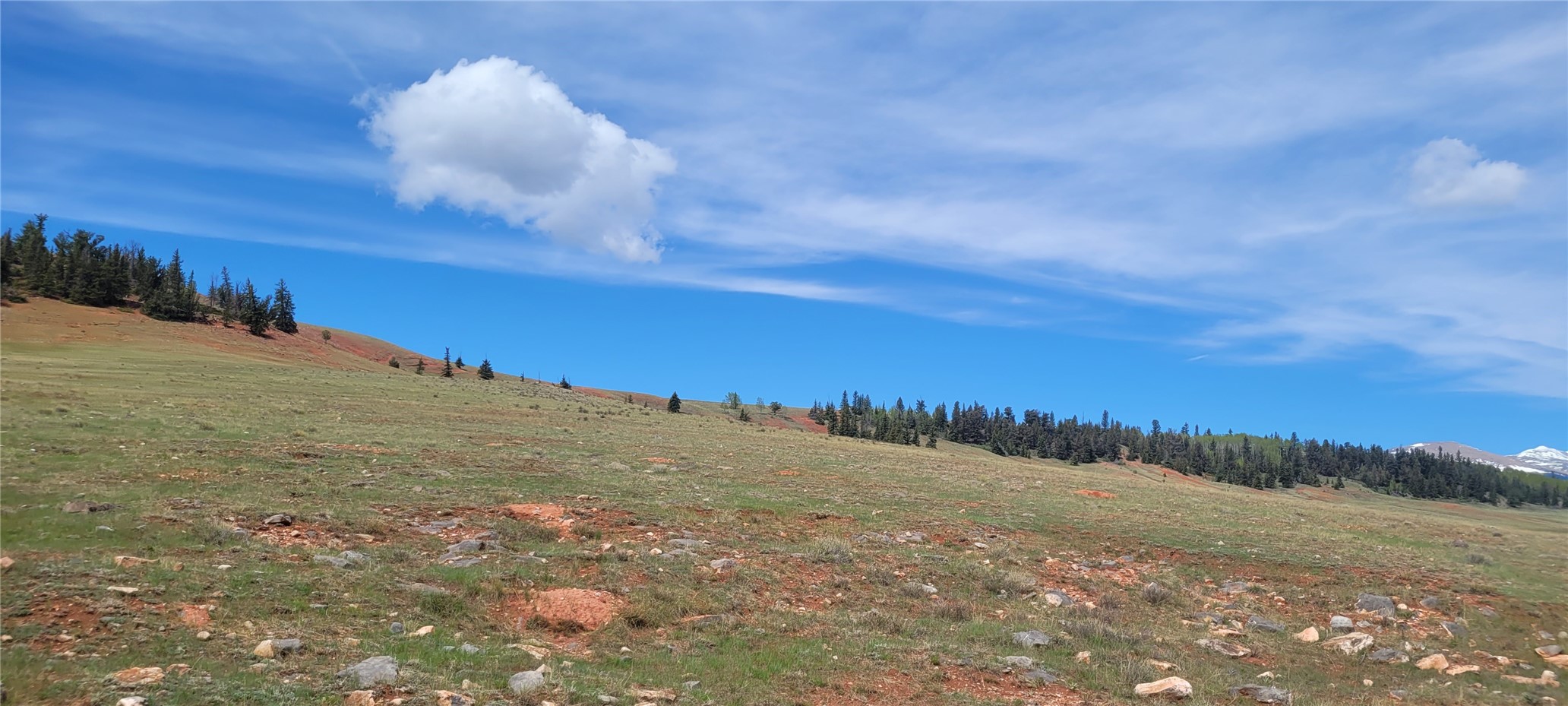 Tbd Tbd Meier Ridge Fairplay, CO 80440 - Photo 10 of 10 Gallery Image 10