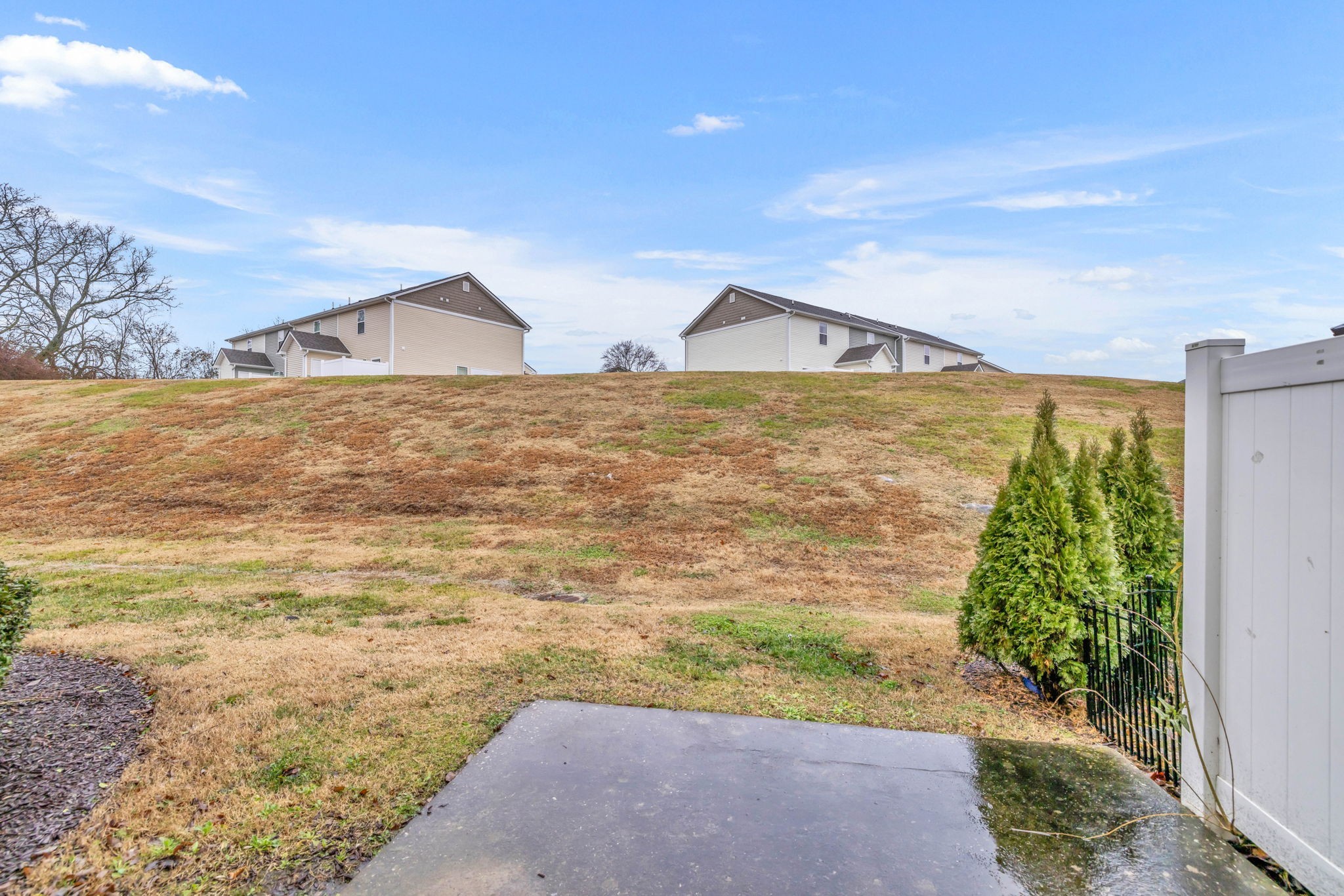2008 Lavender Court Spring Hill, TN 37174 - Photo 45 of 51 a view of a house with a yard and potted plants