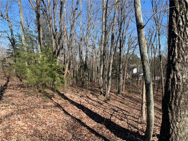 a view of a backyard of a house