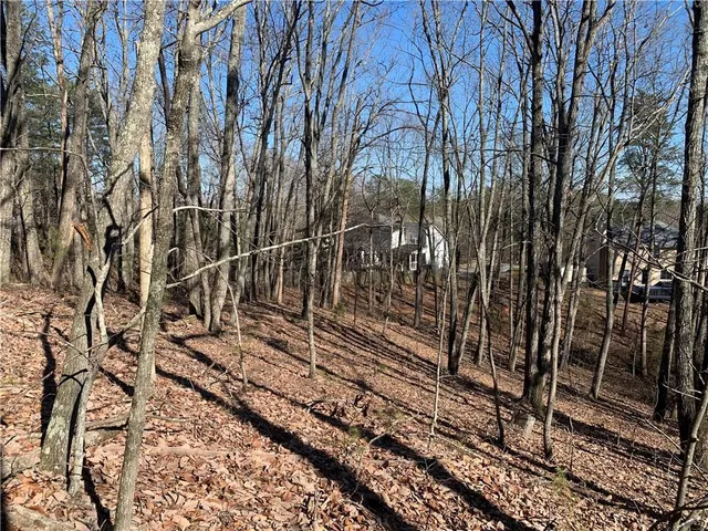 a view of a yard with large trees