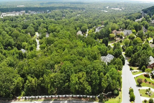 a view of a bunch of trees and bushes