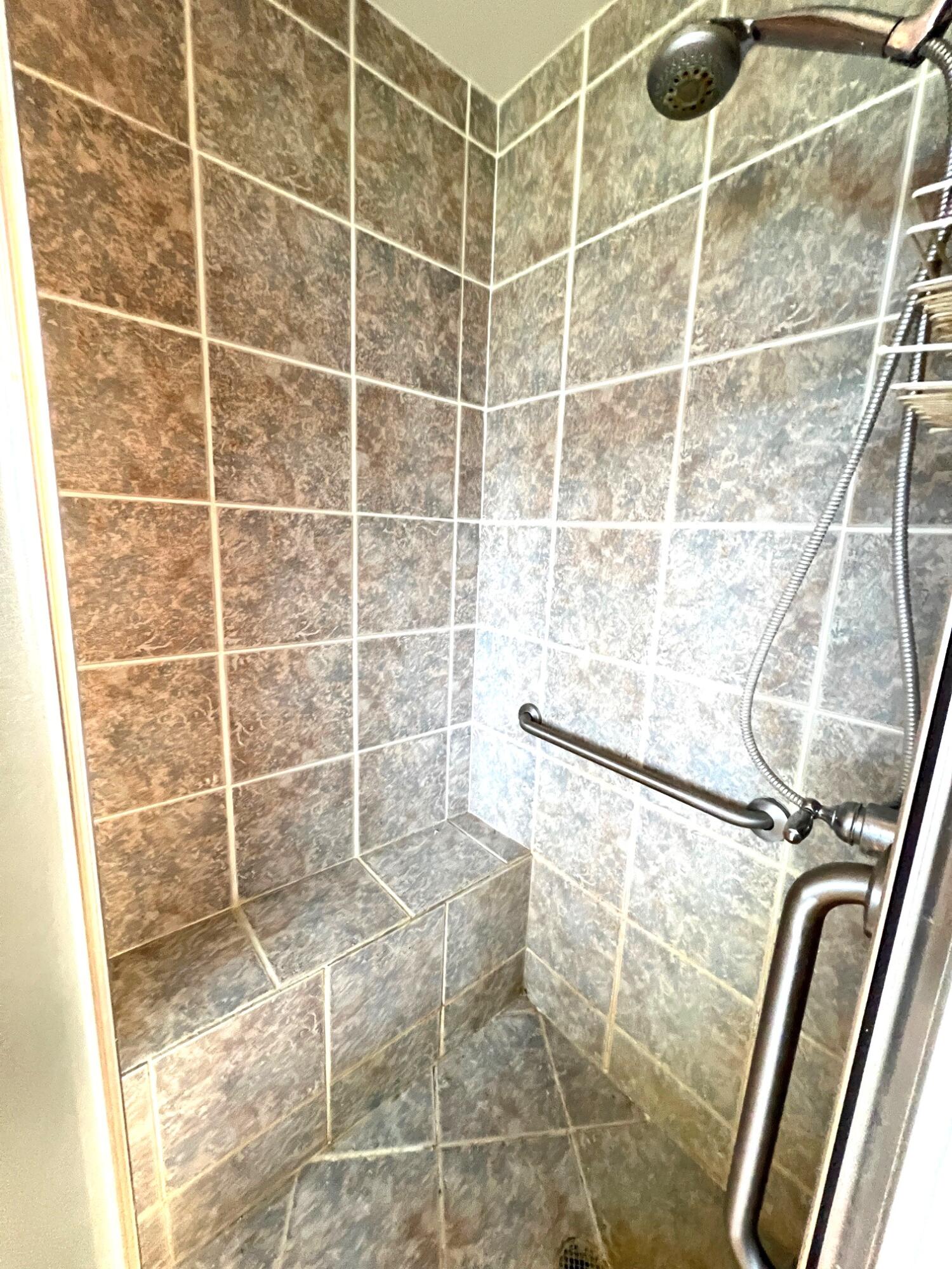 1001 Rierson Road Bronson, MI 49028 - Photo 14 of 25 Primary Tile Shower