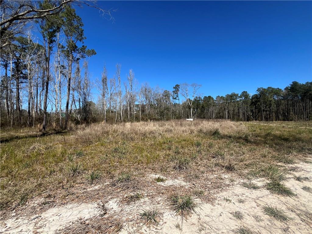 42632 North Thibodeaux Road Ponchatoula, LA 70454 - Photo 12 of 20