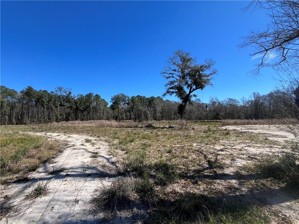 42632 North Thibodeaux Road Ponchatoula, LA 70454 - Photo 13 of 20