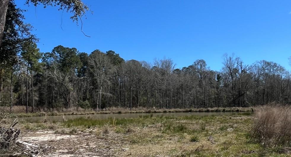 42632 North Thibodeaux Road Ponchatoula, LA 70454 - Photo 14 of 20