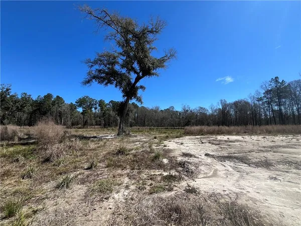 $197,500 | 42632 North Thibodeaux Road, Ponchatoula, LA 70454