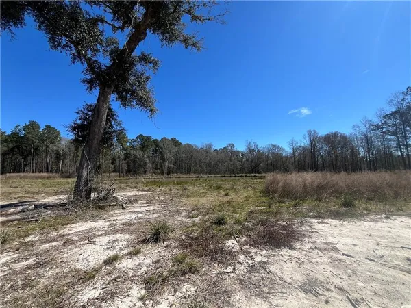 $197,500 | 42632 North Thibodeaux Road, Ponchatoula, LA 70454