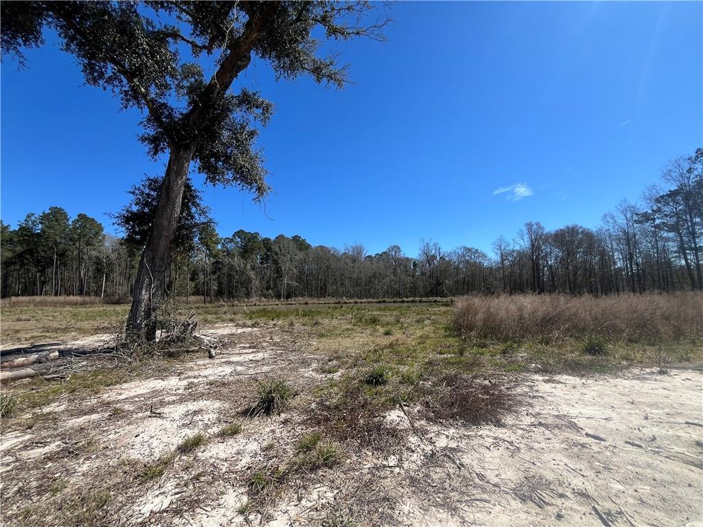 42632 North Thibodeaux Road Ponchatoula, LA 70454 - Photo 16 of 20