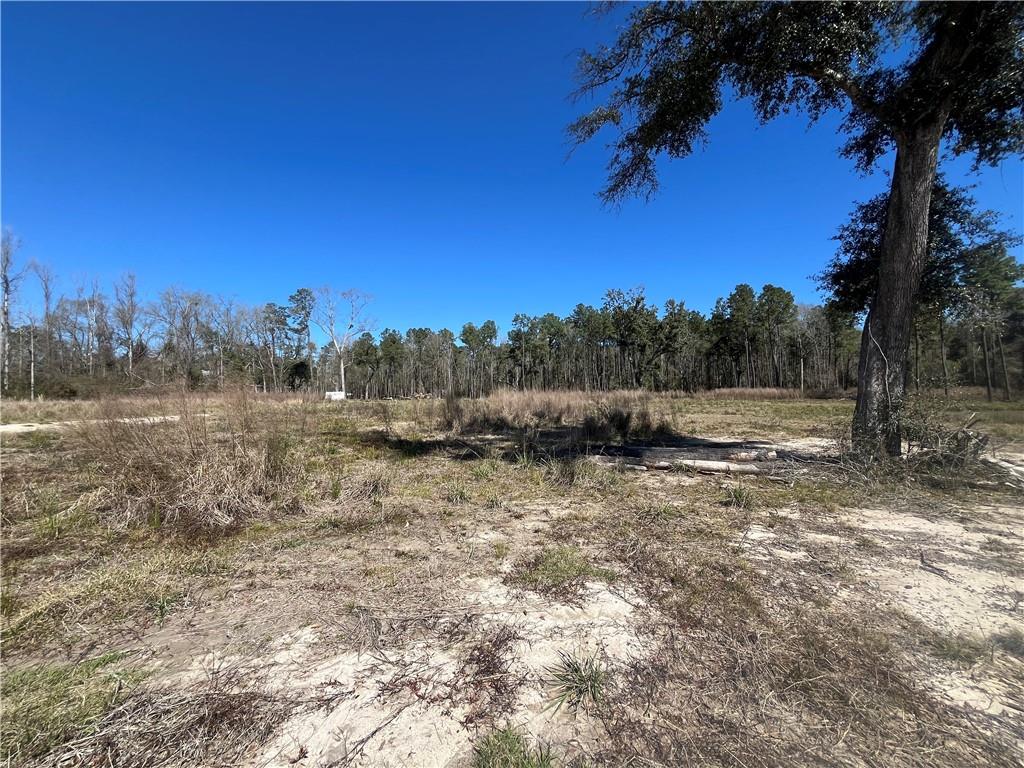 42632 North Thibodeaux Road Ponchatoula, LA 70454 - Photo 17 of 20