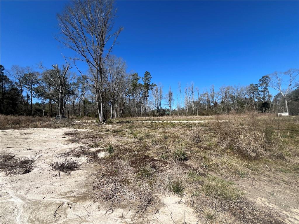 42632 North Thibodeaux Road Ponchatoula, LA 70454 - Photo 18 of 20