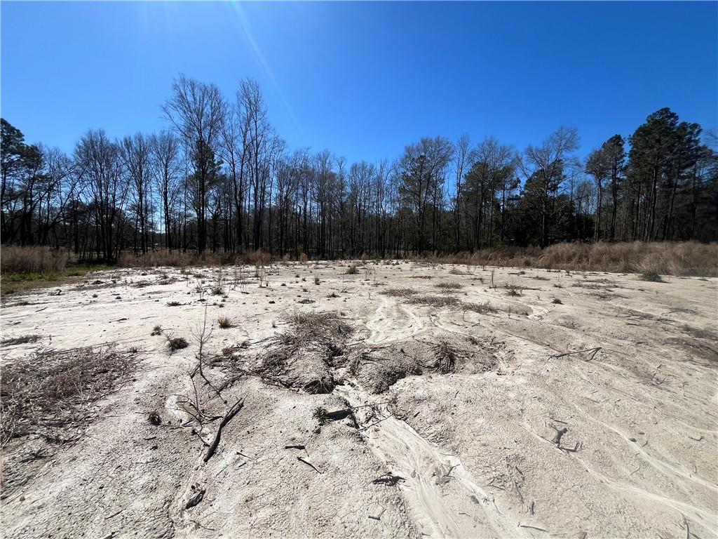 42632 North Thibodeaux Road Ponchatoula, LA 70454 - Photo 19 of 20