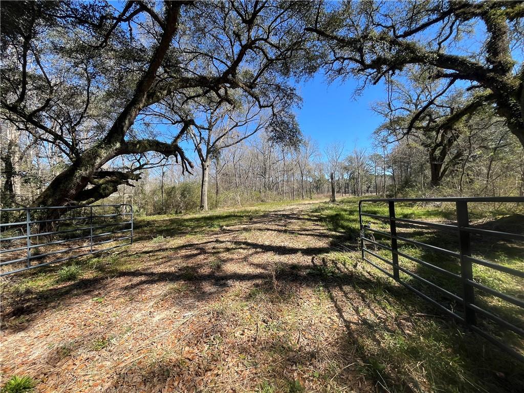 42632 North Thibodeaux Road Ponchatoula, LA 70454 - Photo 2 of 20