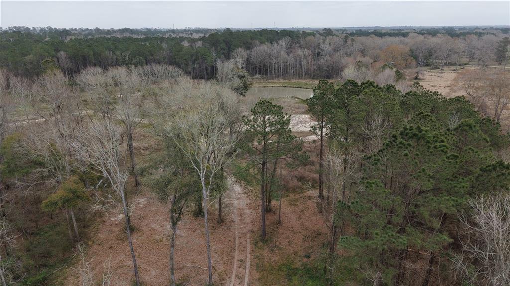 42632 North Thibodeaux Road Ponchatoula, LA 70454 - Photo 7 of 20