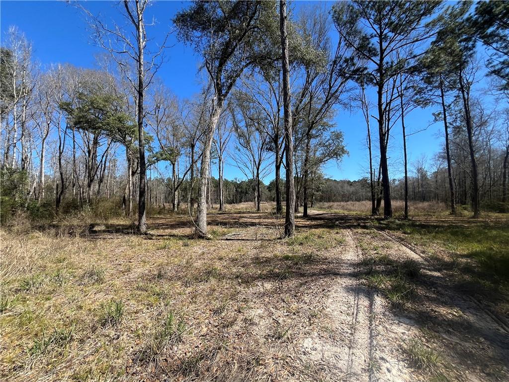 42632 North Thibodeaux Road Ponchatoula, LA 70454 - Photo 8 of 20