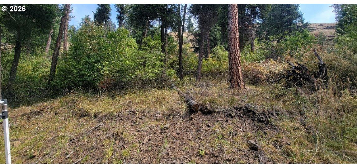 River Canyon Road, Unit TL 900 Imnaha, OR 97842 - Photo 21 of 27 Gallery Image 21