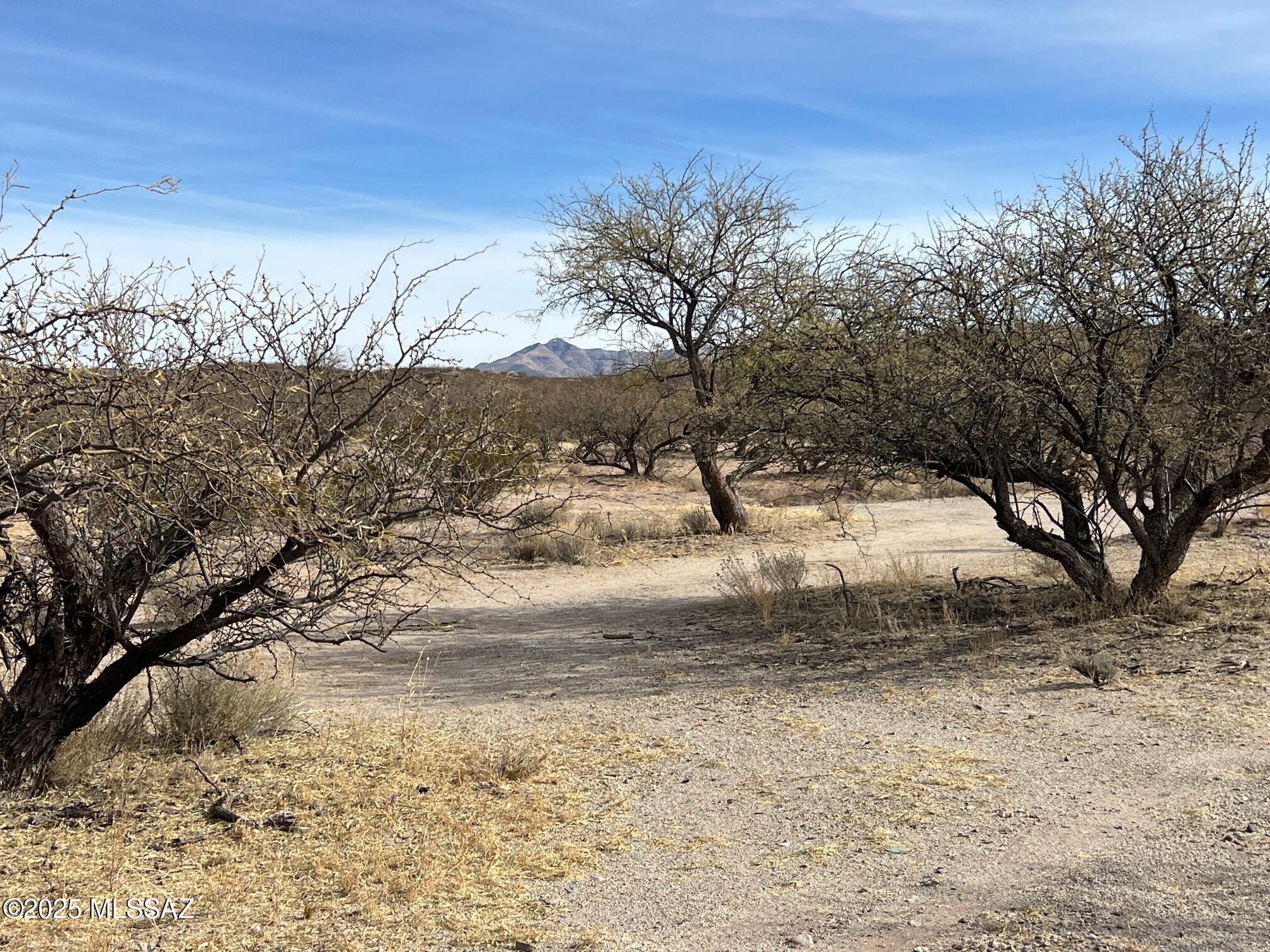 5.29-ac North Cascabel Road Benson, AZ 85602 - Photo 13 of 17
