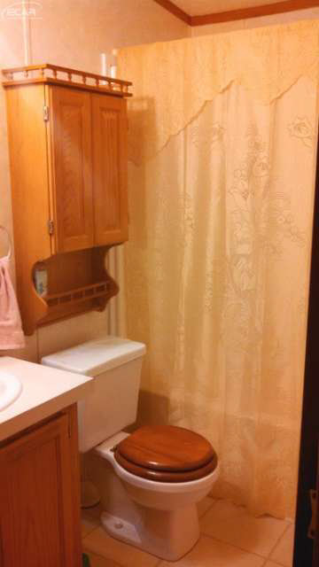 8806 Byam Road Bancroft, MI 48414 - Photo 15 of 26 20427266-14.JPG