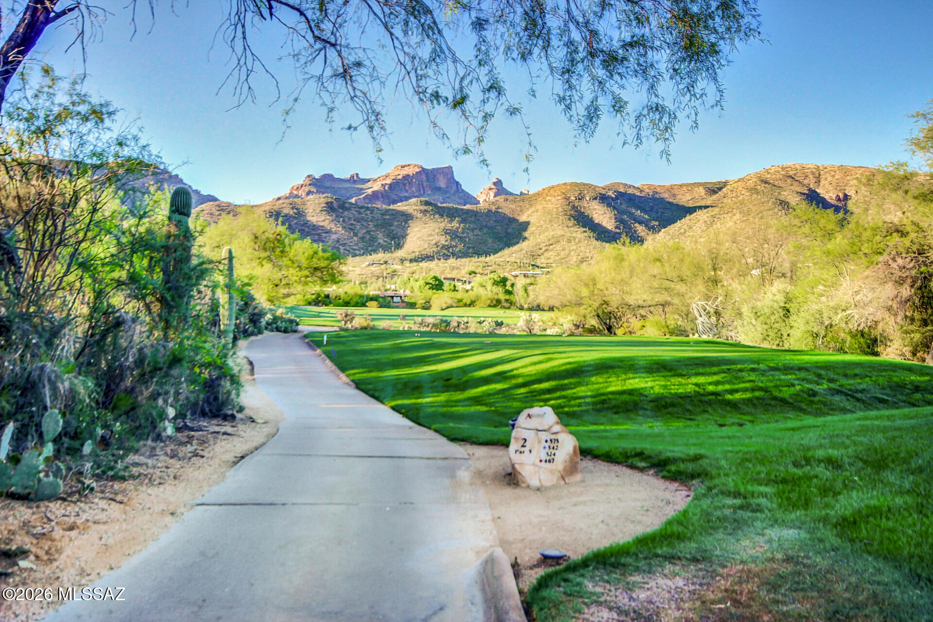 9740 East Spring Ridge Place Tucson, AZ 85749 - Photo 41 of 46