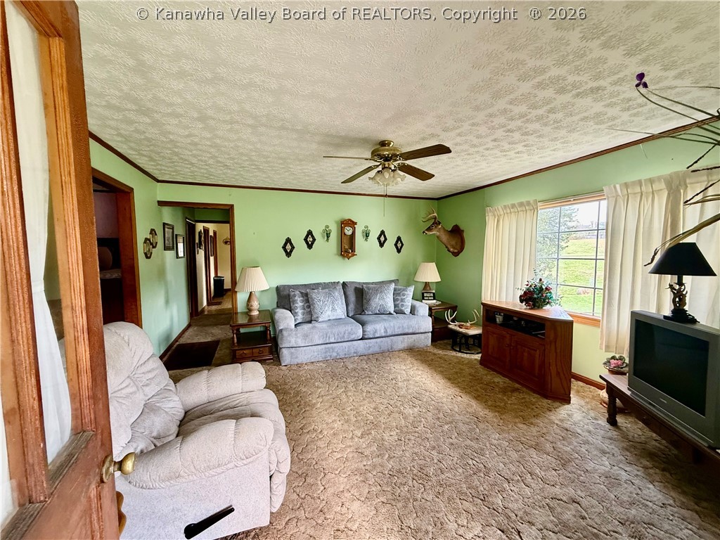 900 Ravenswood Pike Ripley, WV 25271 - Photo 5 of 22 Gallery Image 5