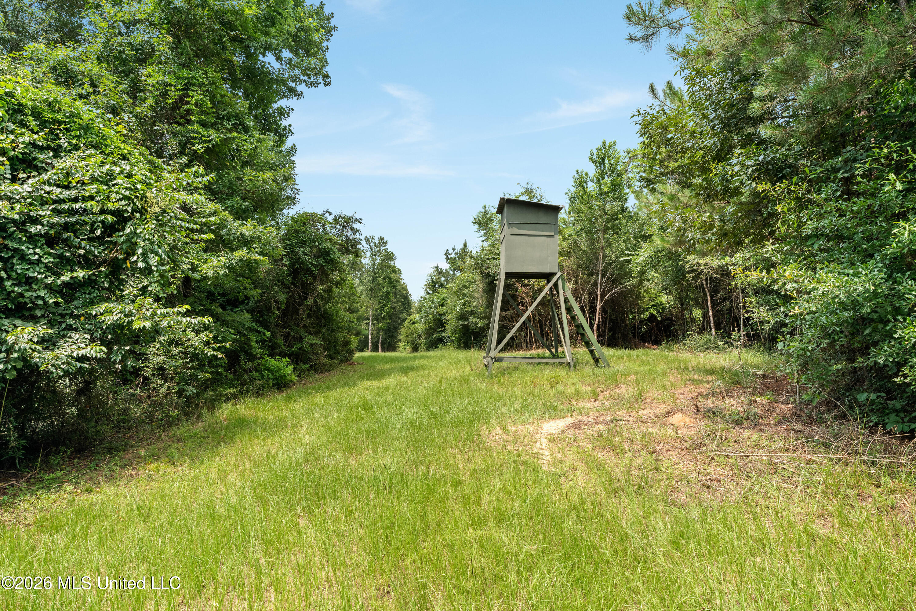232 Knoxo Columbia Road Tylertown, MS 39667 - Photo 85 of 120 232_Knoxo_Columbia_Rd-84
