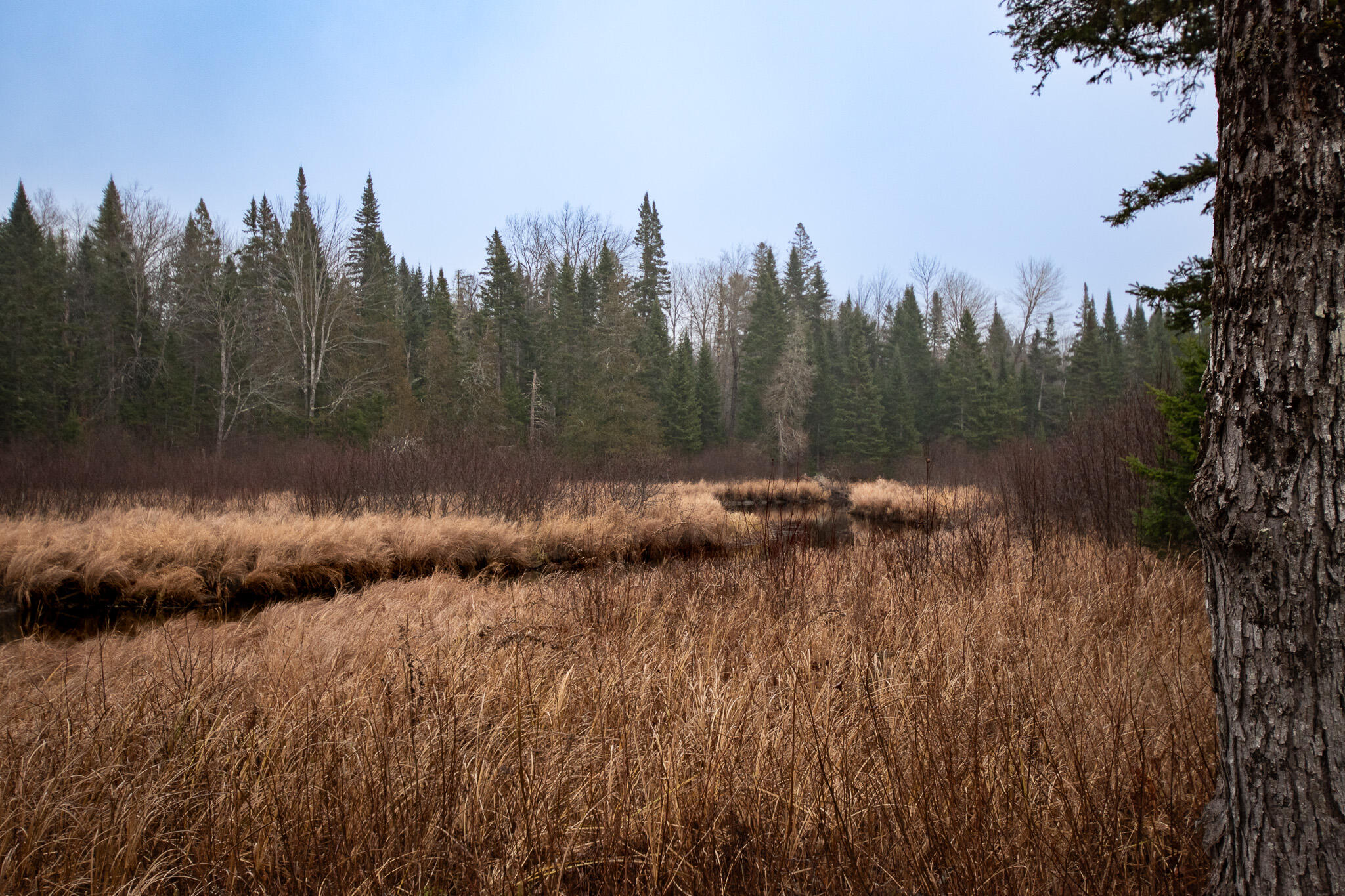 1 Bouchard Road Lagrange, ME 04453 - Photo 19 of 28 DSC_0122