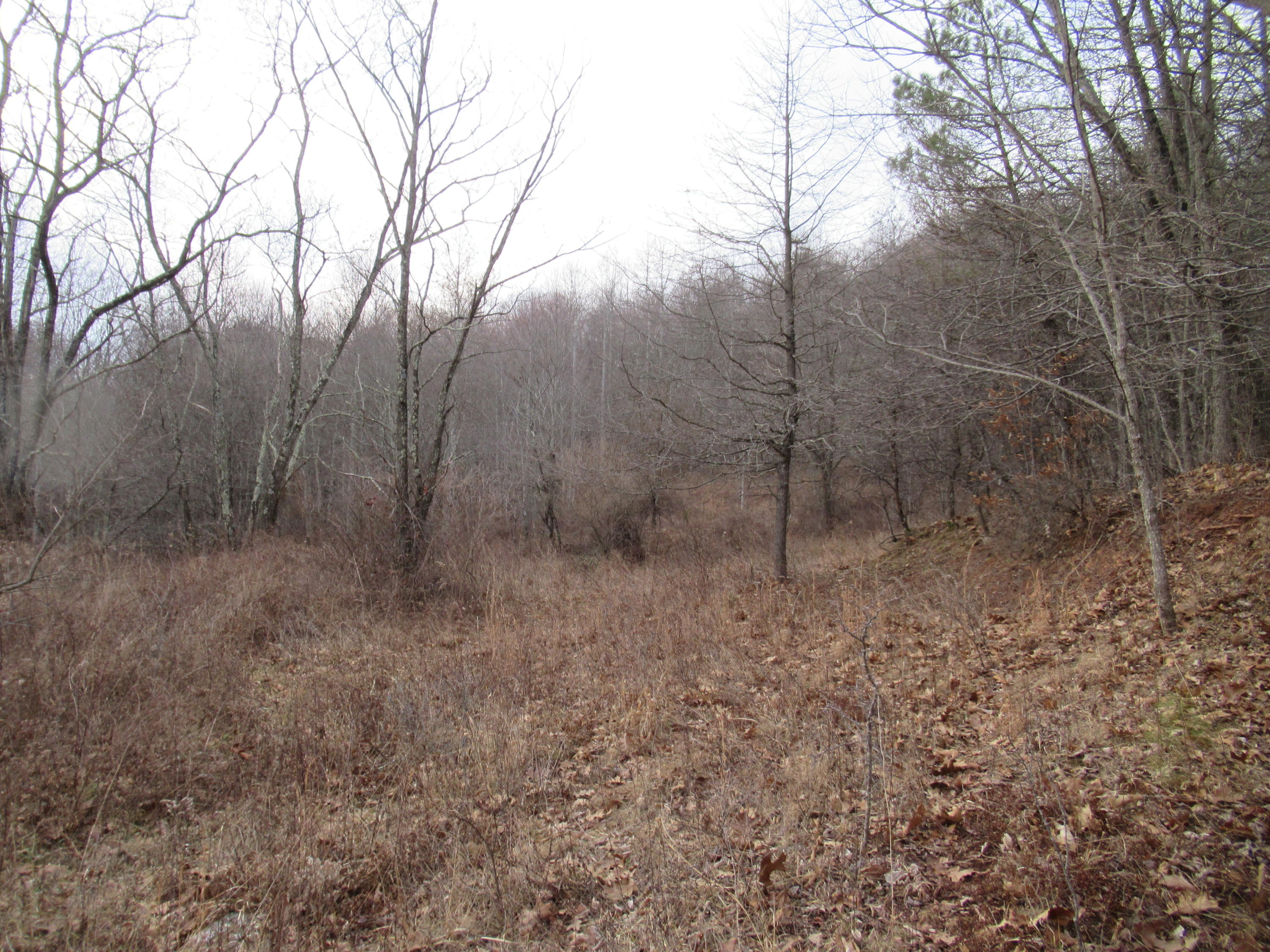 Loudermilk Road Crawley, WV 24931 - Photo 14 of 17 Gallery Image 14