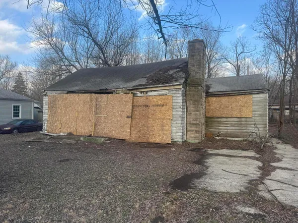 a view of backyard and tree