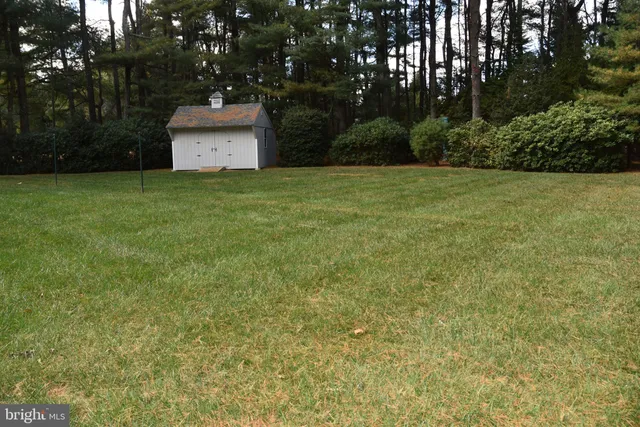 a view of a tiny house with a yard