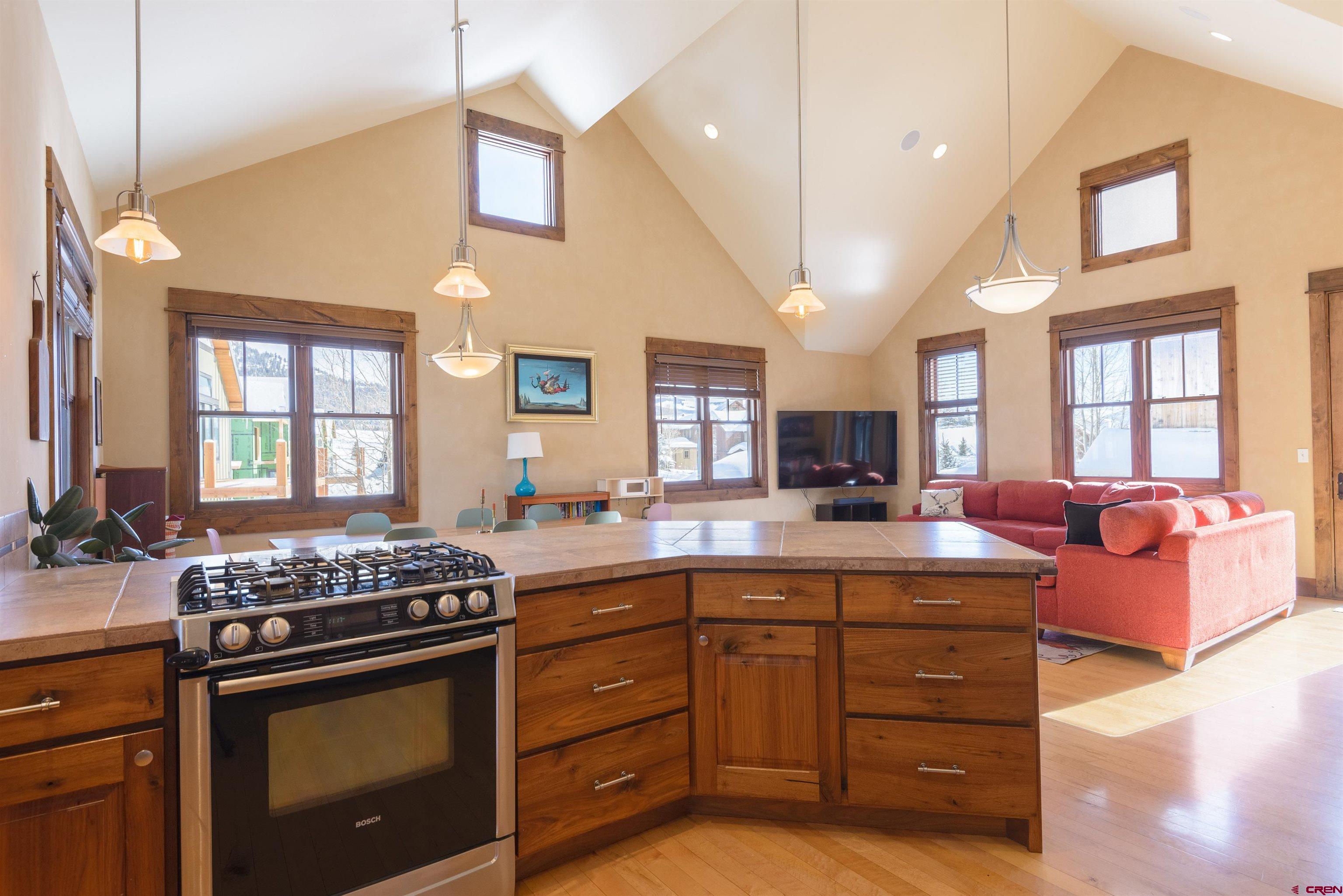 111 Alpine Court Crested Butte, CO 81224 - Photo 5 of 42