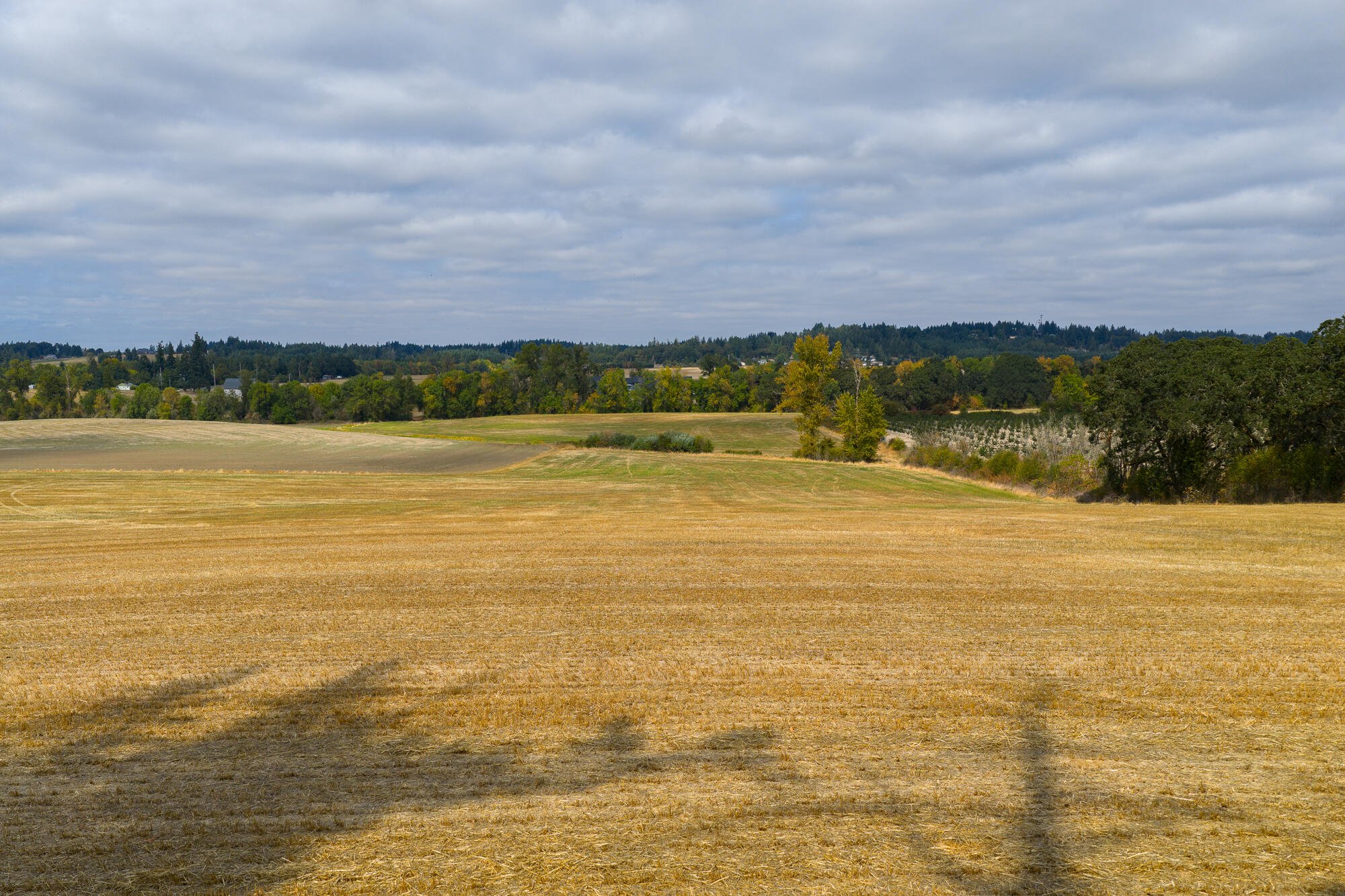 0 Oak Grove Albany, OR 97321 - Photo 8 of 35
