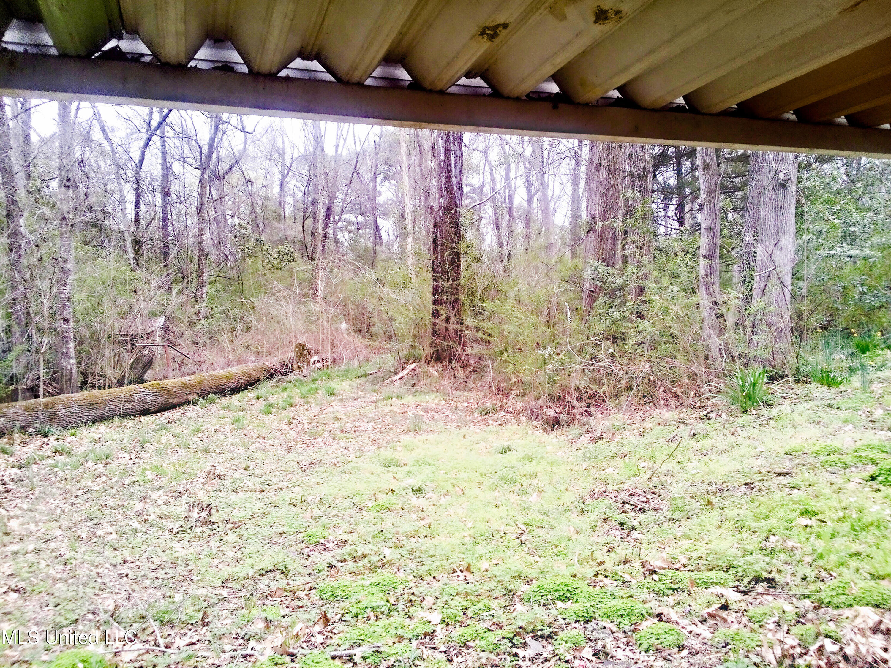 323 Sykes Road Jackson, MS 39212 - Photo 4 of 20 4 John Schardt