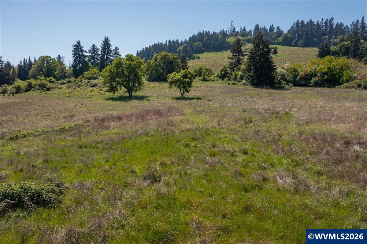 201560 Orchard Tract Road Monroe, OR 97456 - Photo 20 of 23