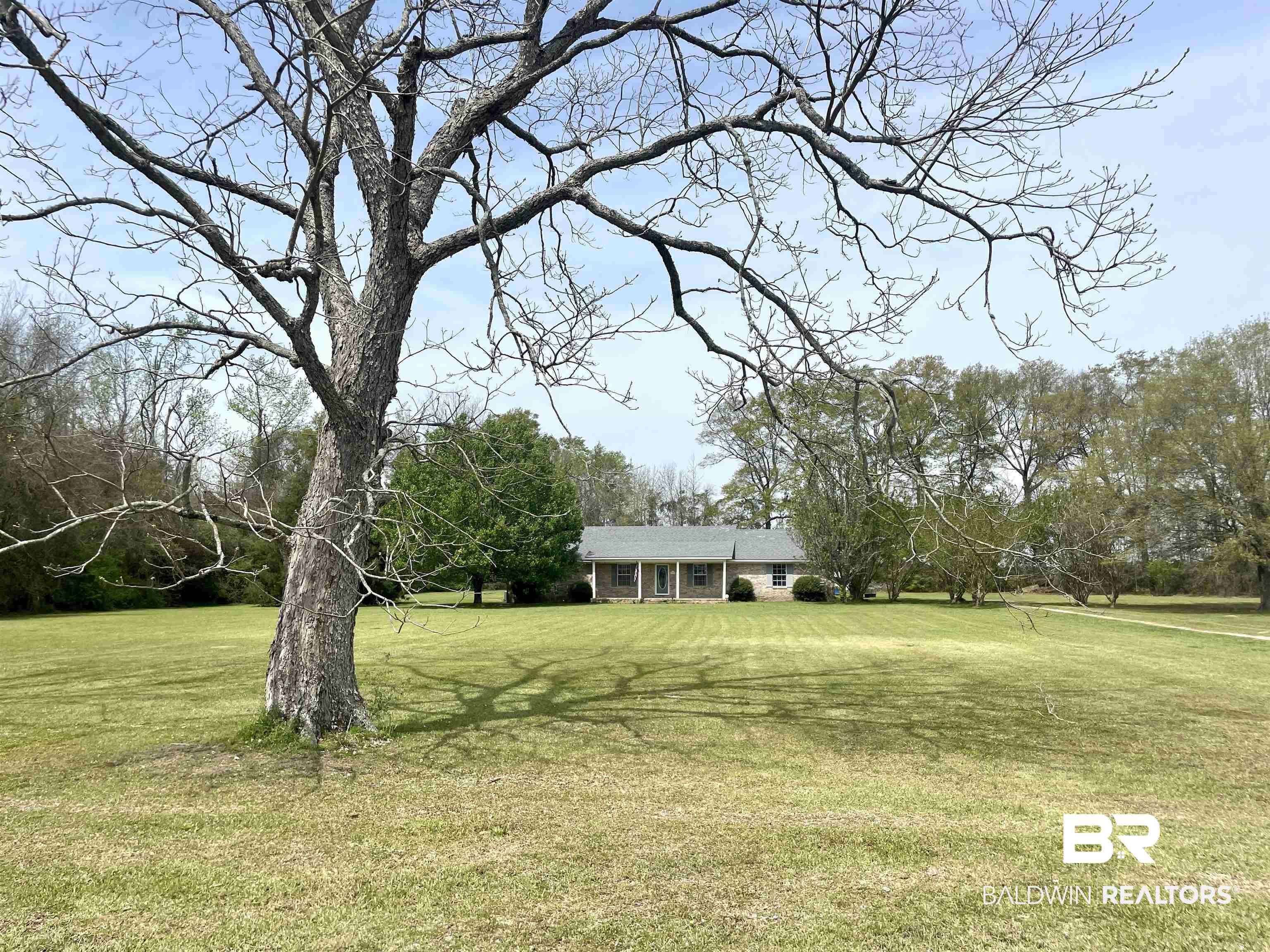 739 Smithfield Road Atmore, AL 36502 - Photo 2 of 18 View of yard